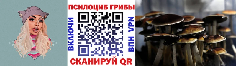 Галлюциногенные грибы Psilocybine cubensis  сколько стоит  Оханск 